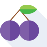 die Pflaume - plum