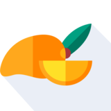 die Mango - el mango