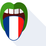 das Französisch - French