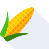 der Mais - corn