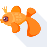der Goldfisch - goldfish