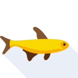 die Forelle - trout
