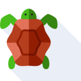 die Wasserschildkröte - turtle
