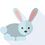 der Hase - el conejo