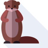 der Otter - la nutria