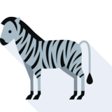 das Zebra - la zebra