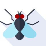 die Fliege - la mosca