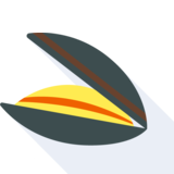die Muschel - mussel