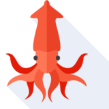 der Tintenfisch - squid