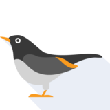 der Vogel - el pájaro