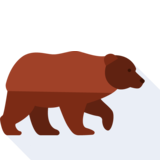 der Bär - l'orso