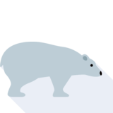 der Eisbär - l'orso polare