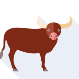 der Stier - Stier
