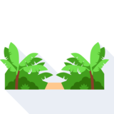 der Dschungel - jungle