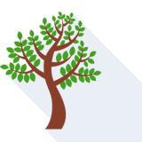 die Natur - nature