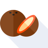  coconut - coconut