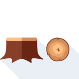  wood - la madera