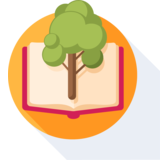  education - la educación