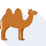  camel - un chameau