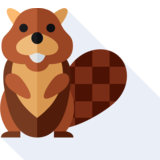  beaver - beaver