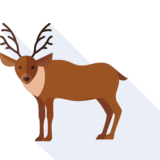  deer - deer