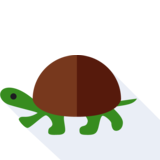  tortoise - tortoise