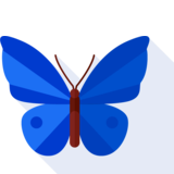  butterfly - бабочка
