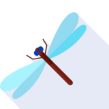  dragonfly - стрекоза