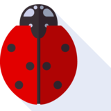  ladybird - ladybird