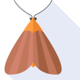 moth - moth