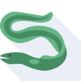  eel - eel