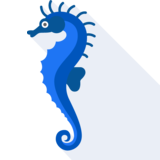  seahorse - il cavalluccio marino