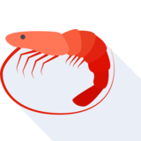  shrimp - der Shrimp