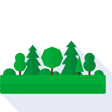  forest - il bosco