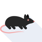  small - small
