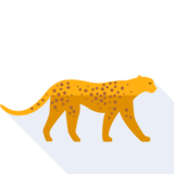 cheetah - el guepardo