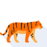  tiger - тигр