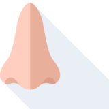 nose - nose