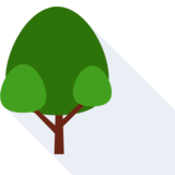 el árbol - tree