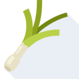 la cebolleta - green onion