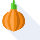 la cebolla - onion