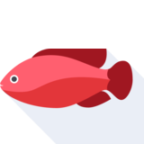 el pez - fish