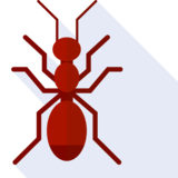 la hormiga - ant