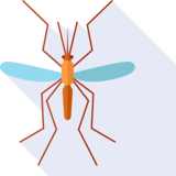 el mosquito - mosquito