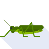 el saltamontes - grasshopper
