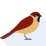 el gorrión - sparrow