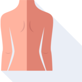 la espalda - back