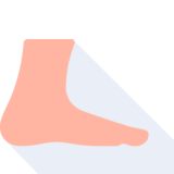 el pie - foot