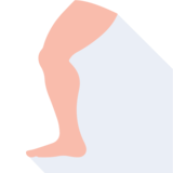 la pierna - leg