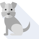 el perro - dog